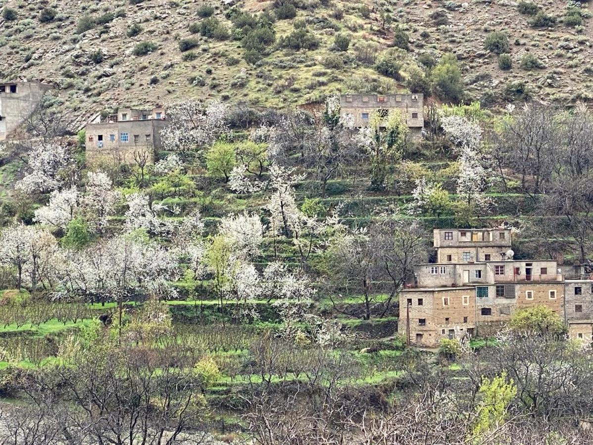 Amlougui House Bed & Breakfast Asgaour Dış mekan fotoğraf
